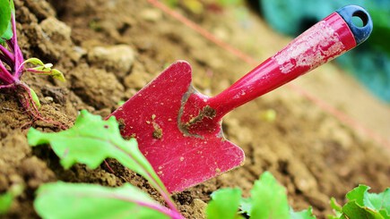 Avaliações sobre Jardinagens em Portugal