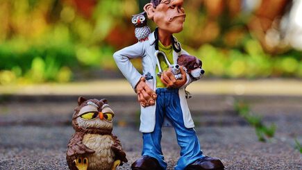 Avaliações sobre Veterinários em Portugal